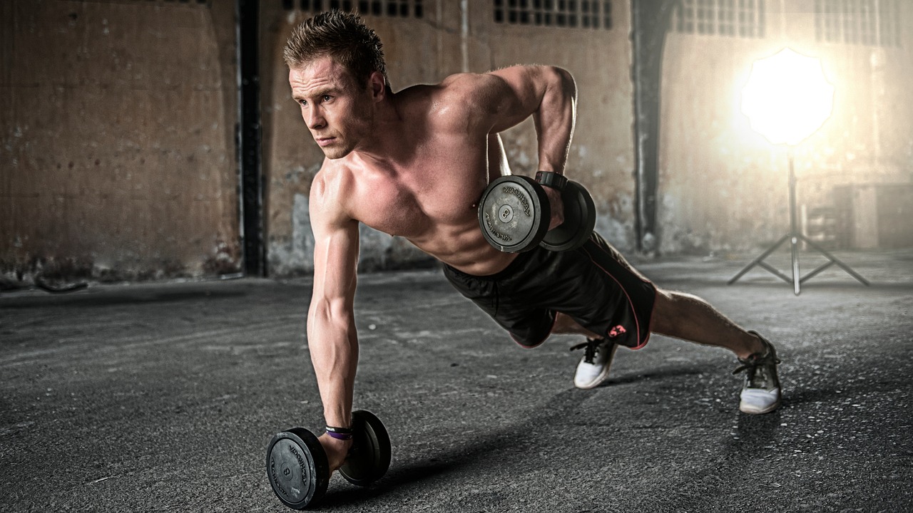 Proactivelifestylefit Fitness Club collection